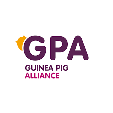 For all things Guinea Pig!